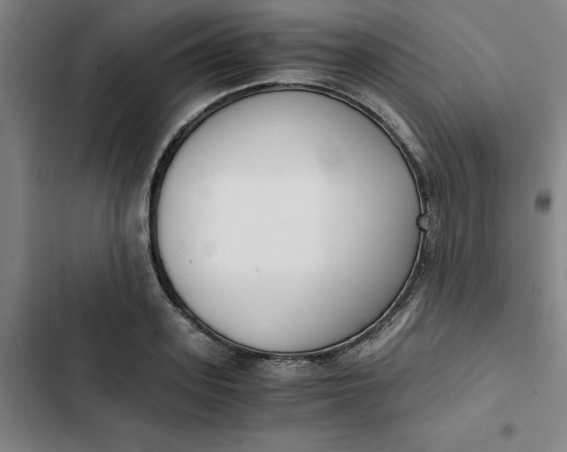 X0000102470939200808221639
