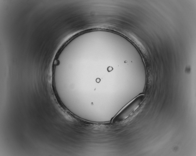 X0000102470940200808221639