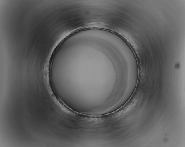 X0000102470941200808221639