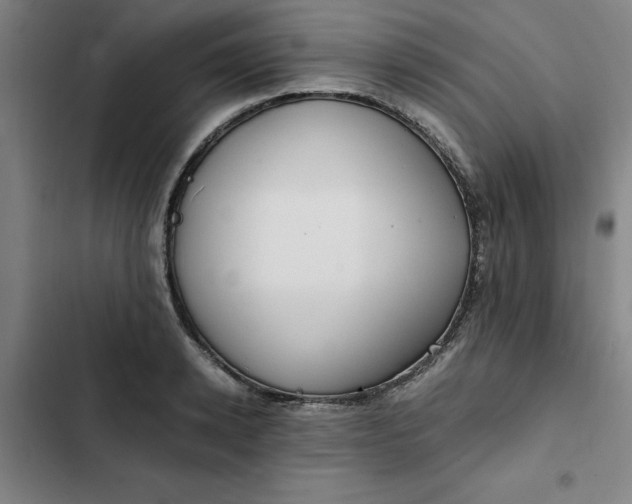 X0000102470942200808221639