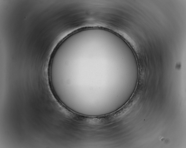 X0000102470943200808221639