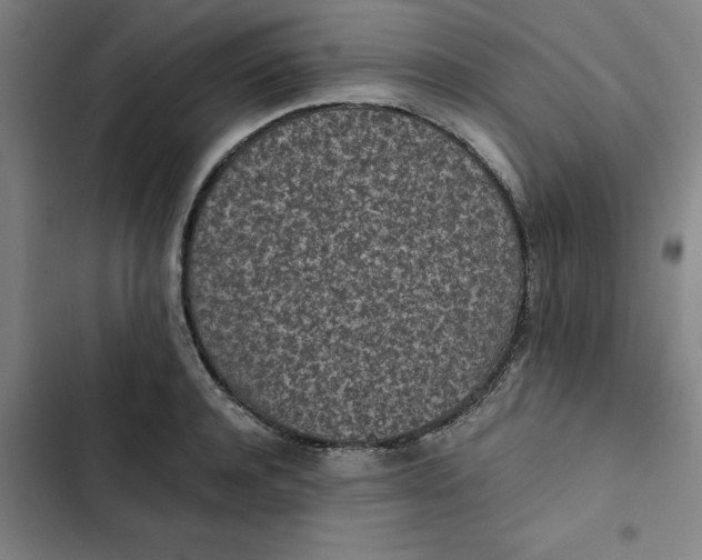 X0000102470944200808221639