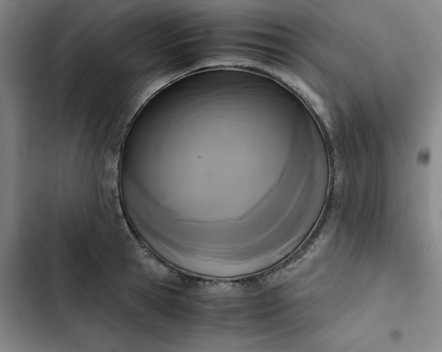 X0000102470945200808221639