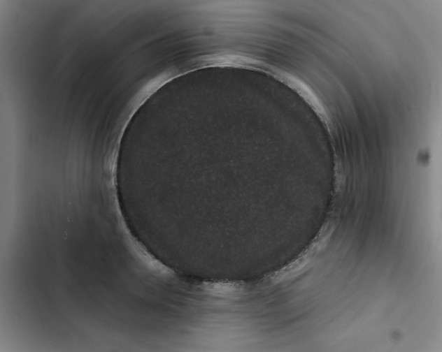 X0000102470946200808221639