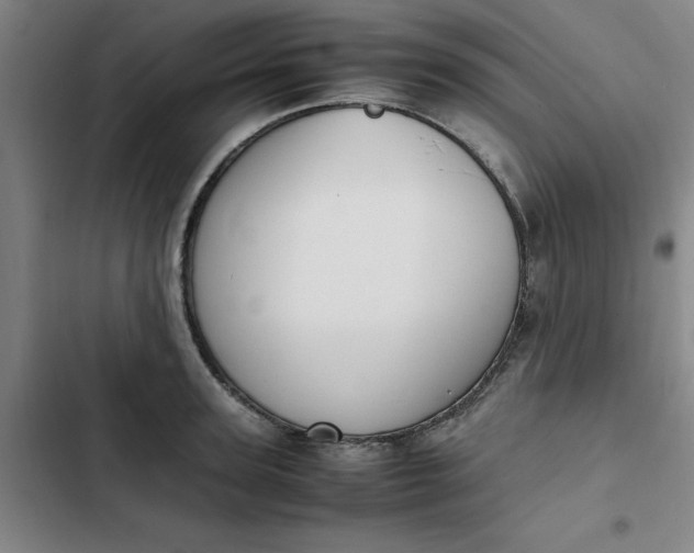 X0000102470947200808221639