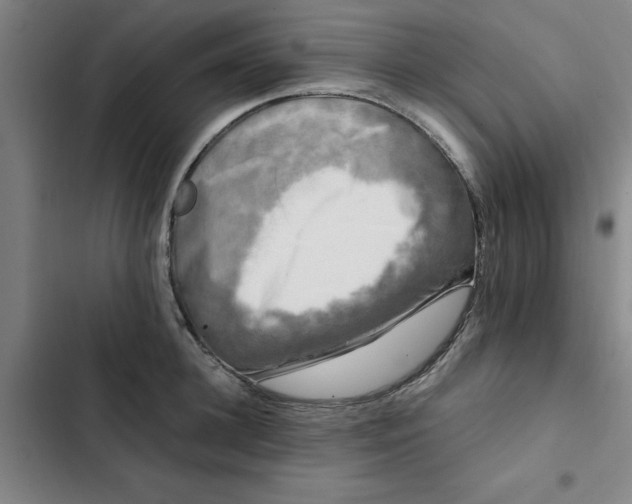 X0000102470948200808221639