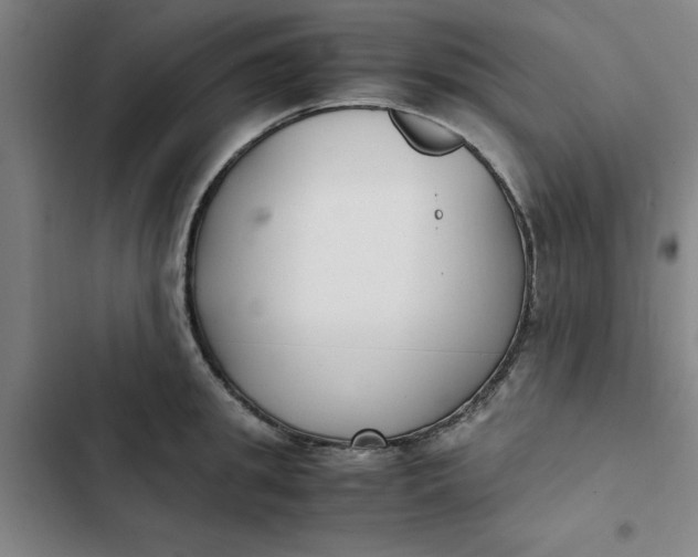 X0000102470949200808221639