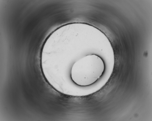 X0000102470950200808221639