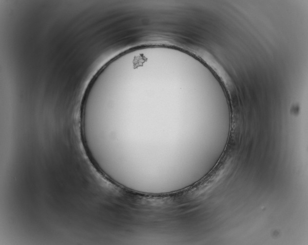 X0000102470951200808221639
