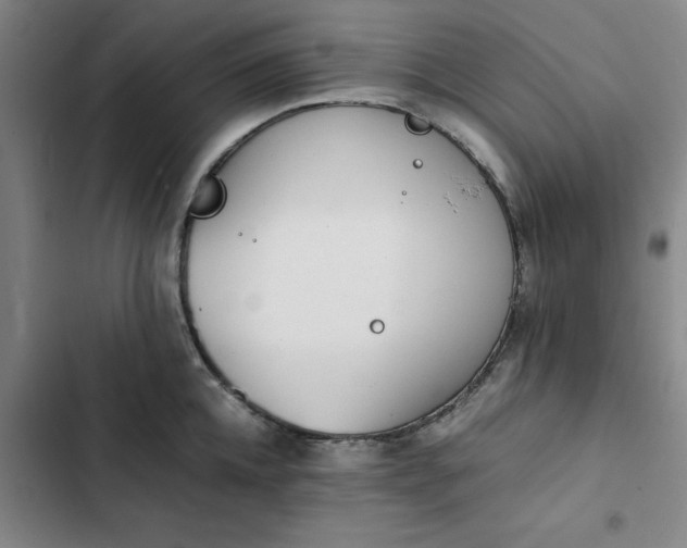 X0000102470952200808221639