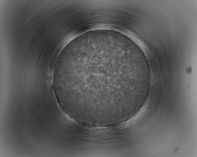 X0000102470953200808221639