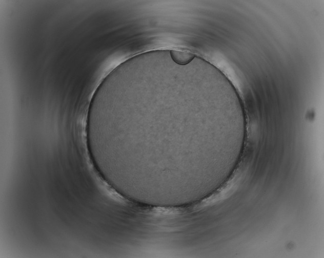 X0000102470954200808221639