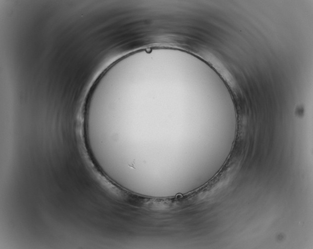 X0000102470955200808221640
