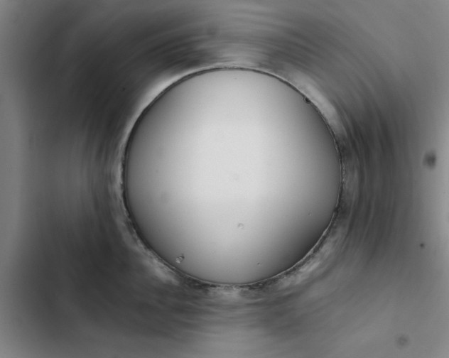 X0000102470956200808221640