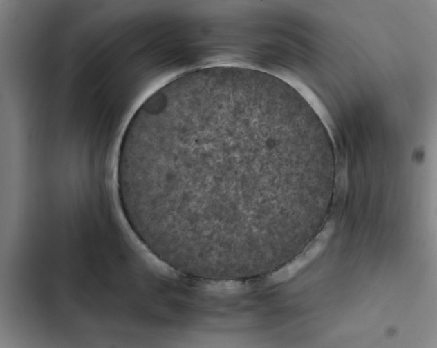X0000102470957200808221640