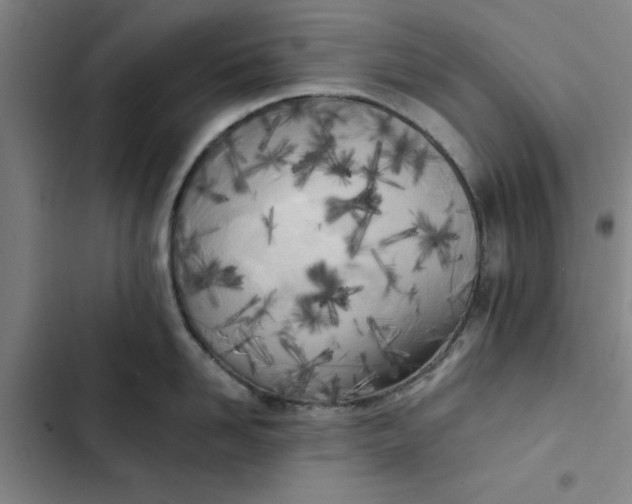 X0000102470958200808221640