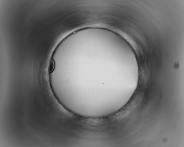 X0000102470959200808221640