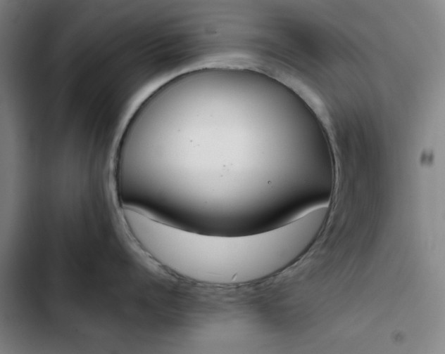 X0000102470960200808221640