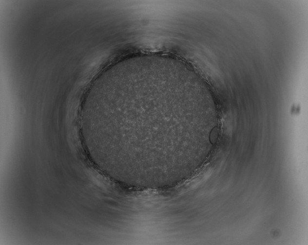 X0000102470961200808221639