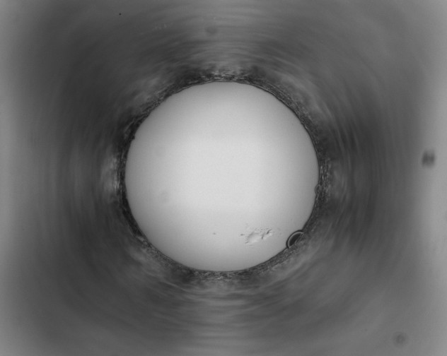 X0000102470962200808221639