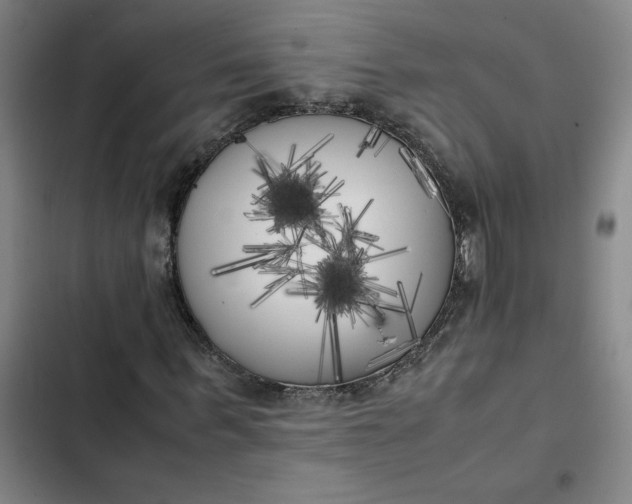 X0000102470963200808221639