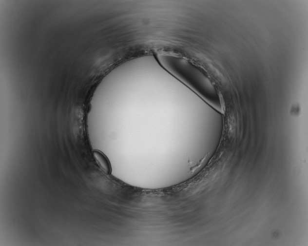 X0000102470964200808221639