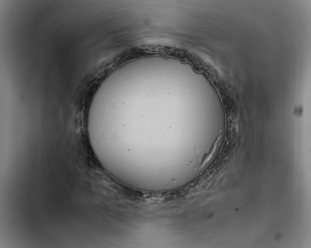 X0000102470965200808221639