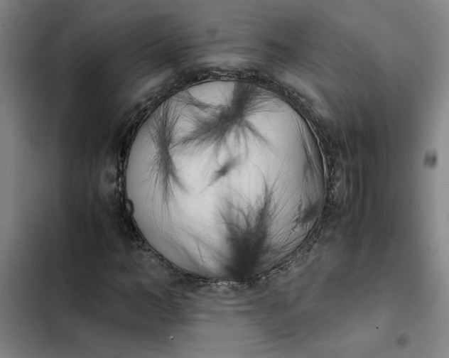 X0000102470966200808221639