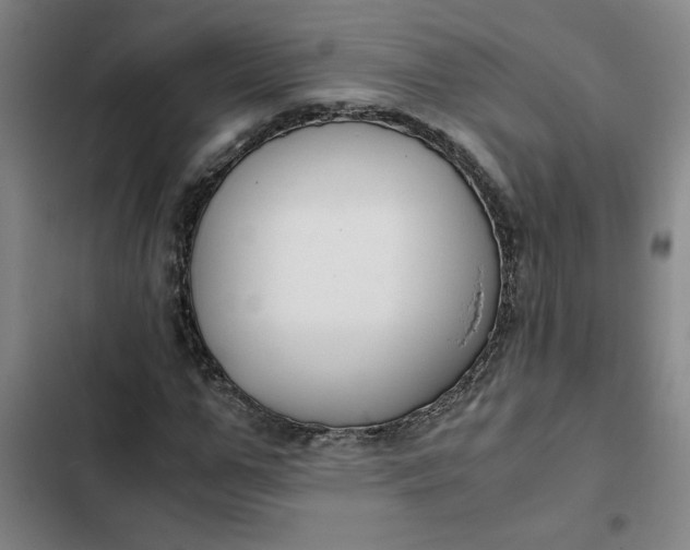 X0000102470967200808221639