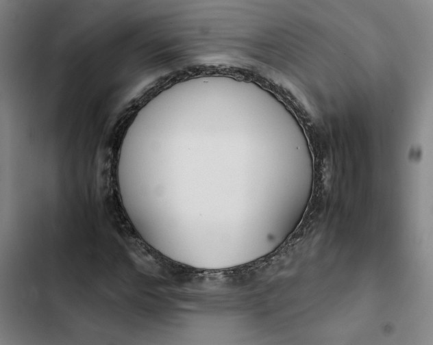 X0000102470968200808221639