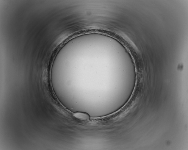 X0000102470969200808221639