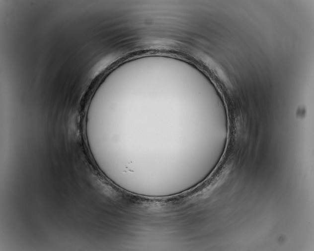 X0000102470970200808221639