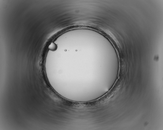 X0000102470971200808221639