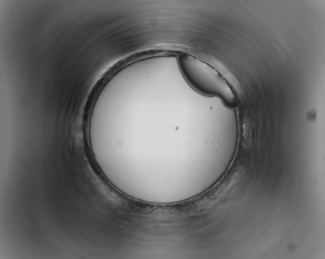 X0000102470972200808221639