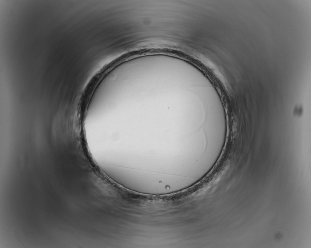 X0000102470973200808221639