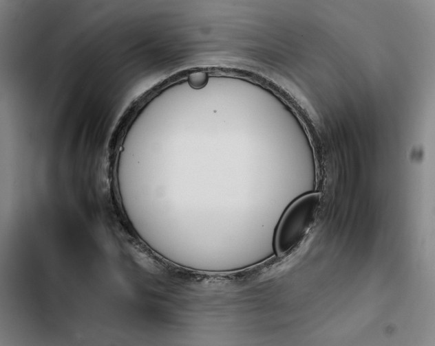 X0000102470974200808221639