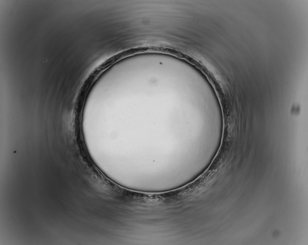 X0000102470975200808221639