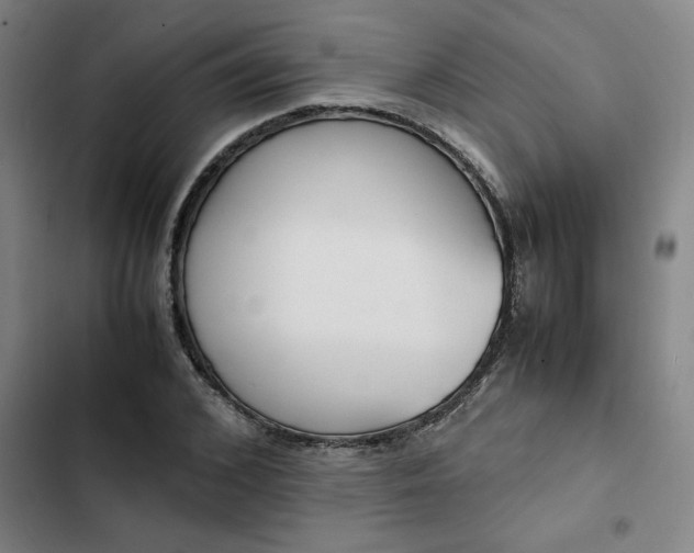 X0000102470976200808221639