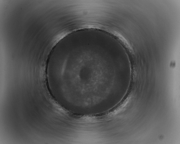 X0000102470977200808221639