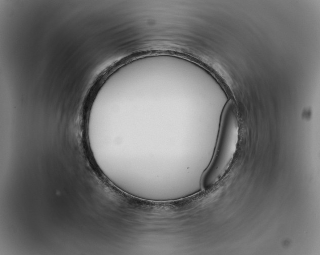 X0000102470979200808221639