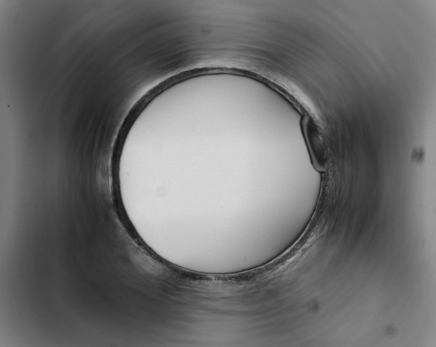 X0000102470980200808221639