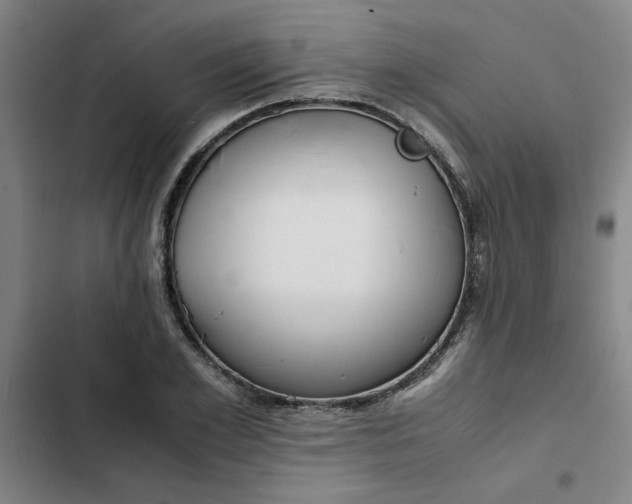 X0000102470981200808221639