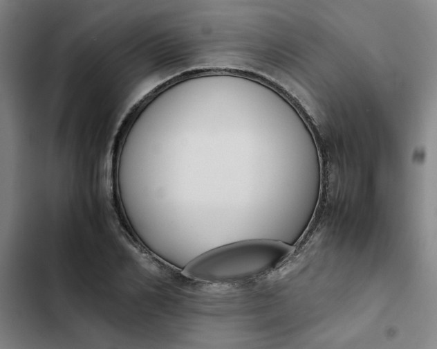 X0000102470982200808221639