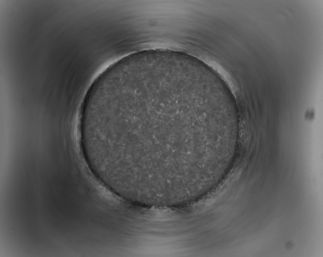 X0000102470983200808221639