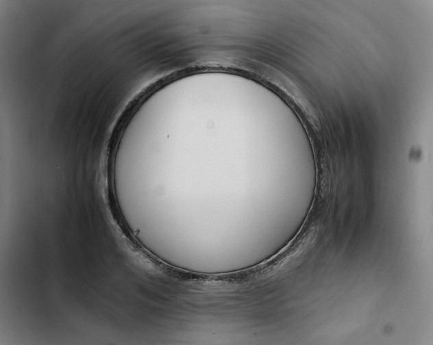 X0000102470984200808221639