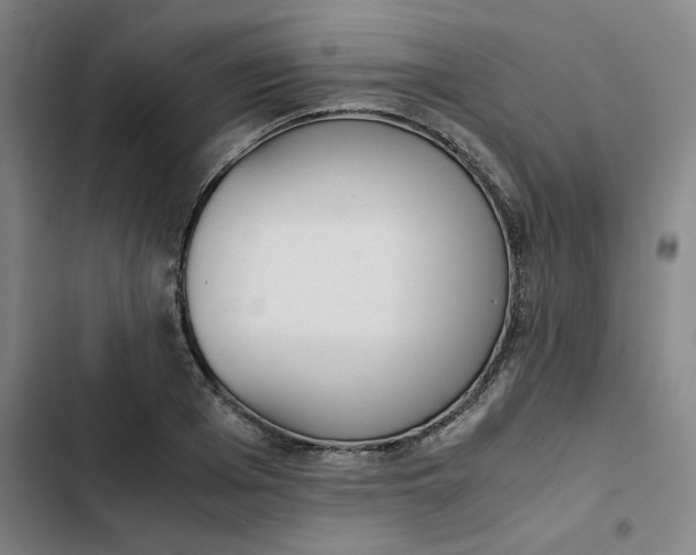 X0000102470985200808221639