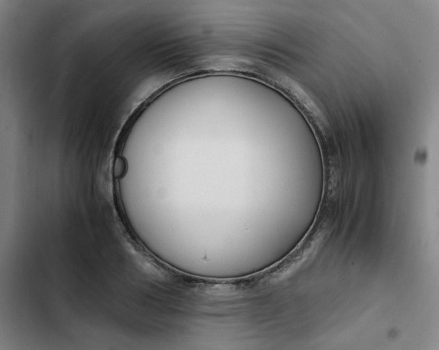X0000102470986200808221639