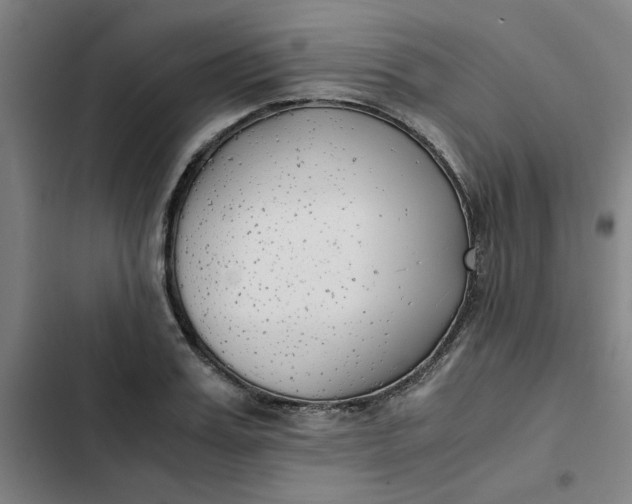 X0000102470987200808221639