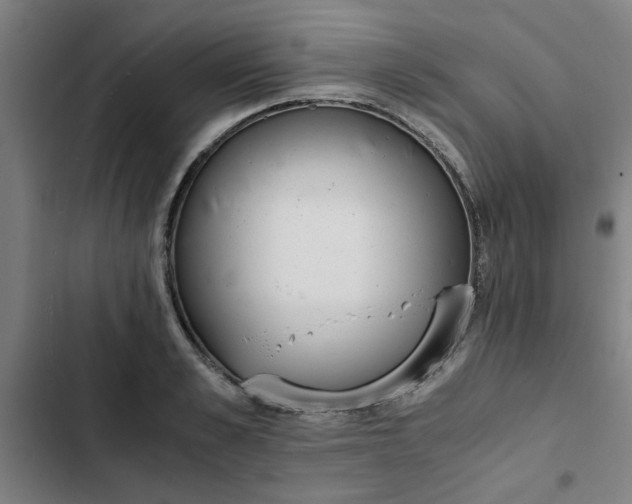X0000102470989200808221639