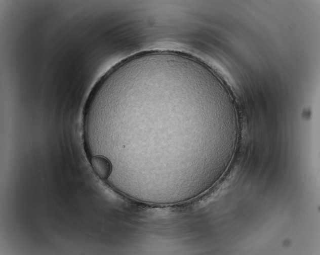 X0000102470990200808221639
